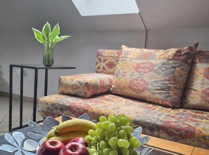 Medusa 300 Metrow Od Plazy *