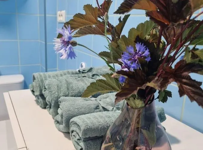 Apartmán Medusa 300 Metrow Od Plazy Gdaňsk